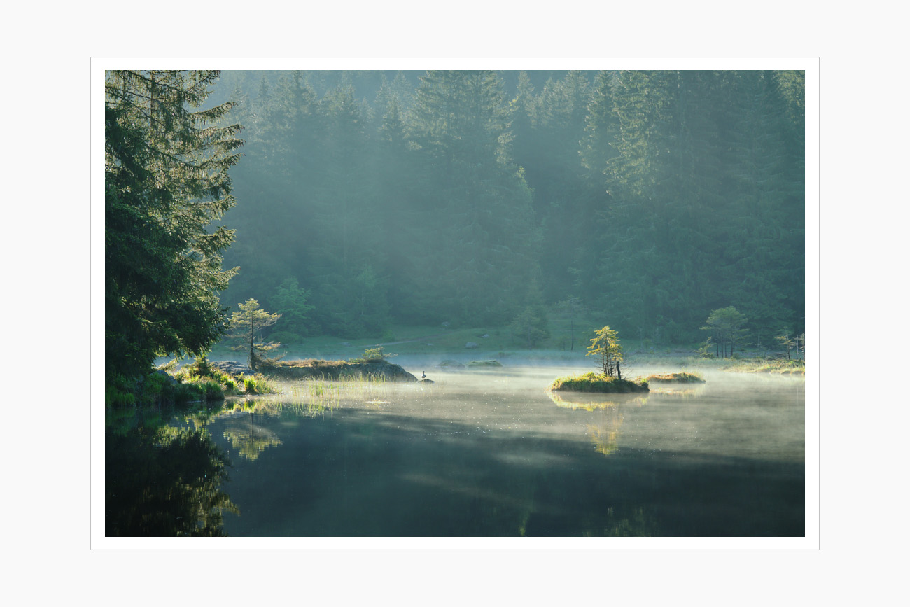 Max Schiefele Alle Bilder  DS10015